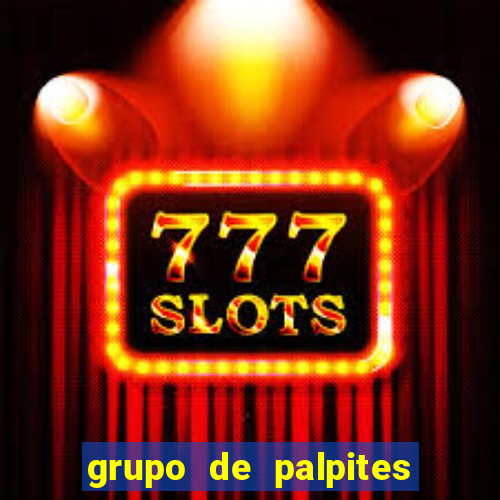 grupo de palpites de futebol telegram